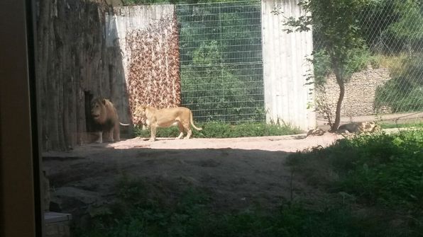 Besuch im Erfurter Zoo.
