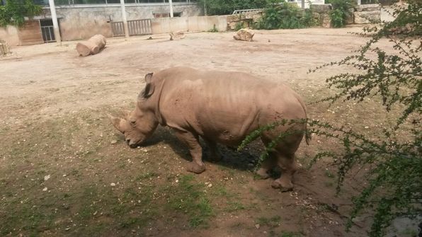 Besuch im Erfurter Zoo.