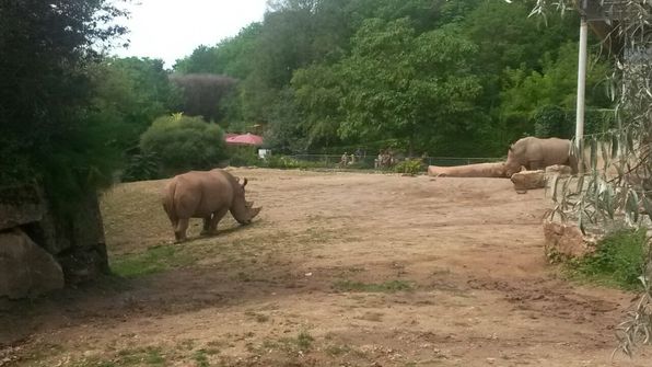Besuch im Erfurter Zoo.
