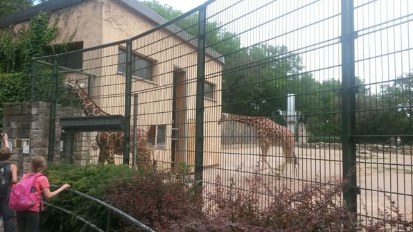 Besuch im Erfurter Zoo.