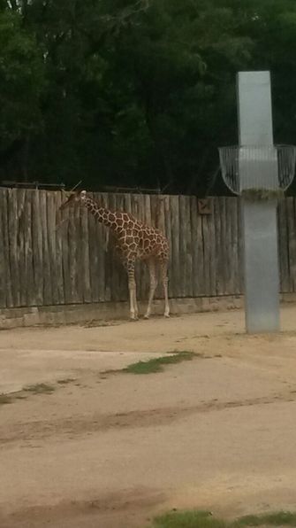Besuch im Erfurter Zoo.