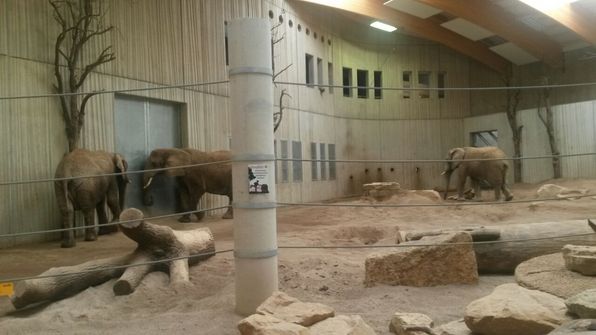 Besuch im Erfurter Zoo.