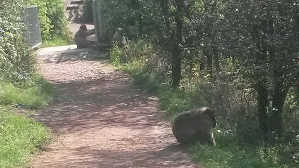 Besuch im Erfurter Zoo.